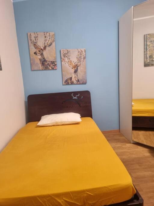 Casa Intera Vicino Il Centro Per 3 Persone * Roma